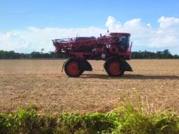 Harvest Jan 2024